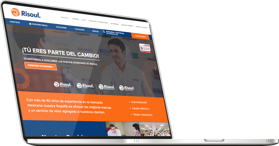 Consultores Web