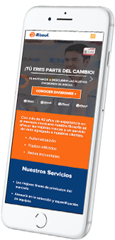 Consultores Web