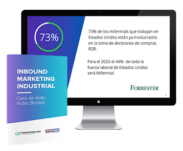 Consultores Web